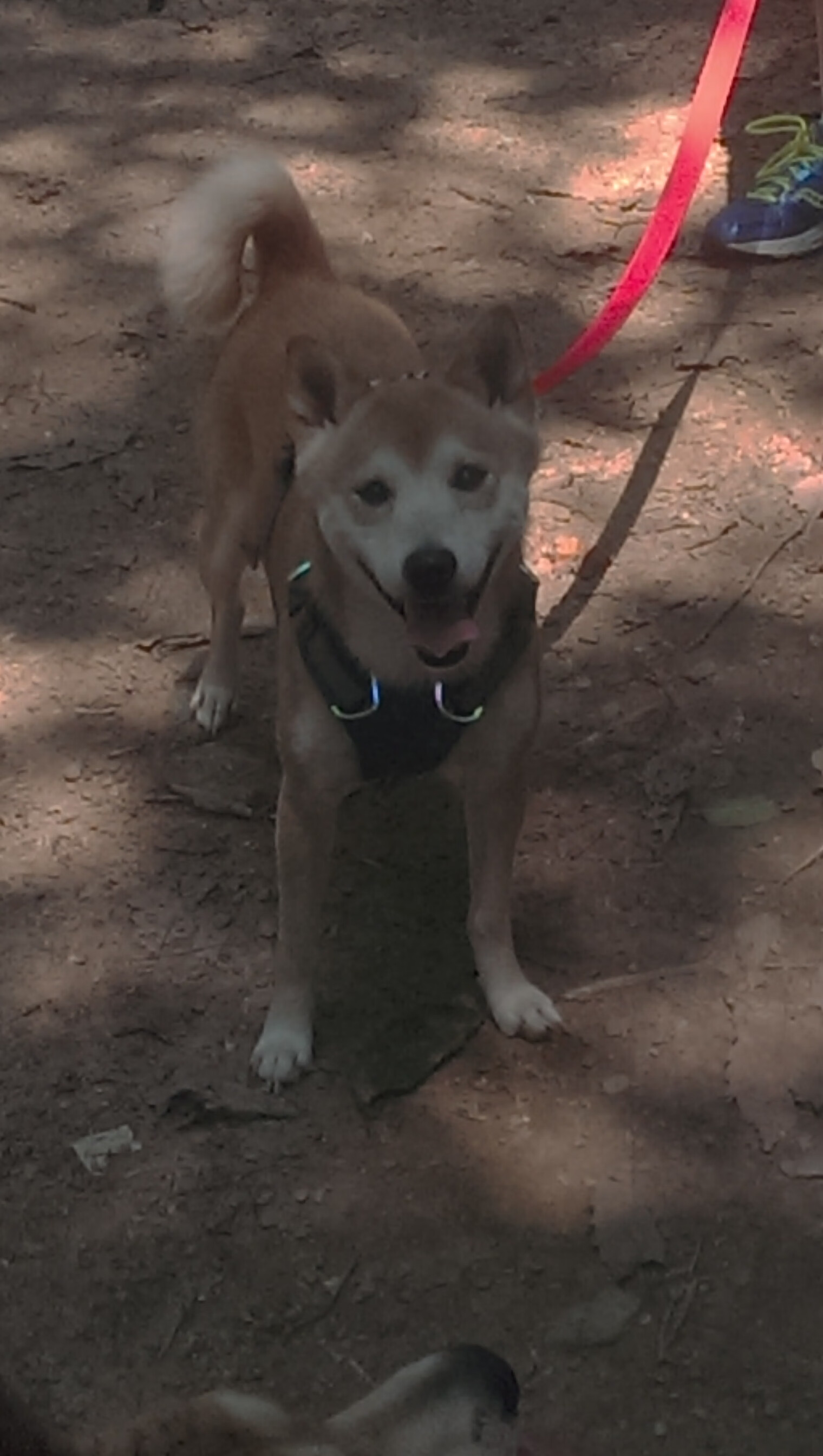 “棒球盛宴:多场次同时开战,赛事全景一网打尽”,棒球比赛精彩视频