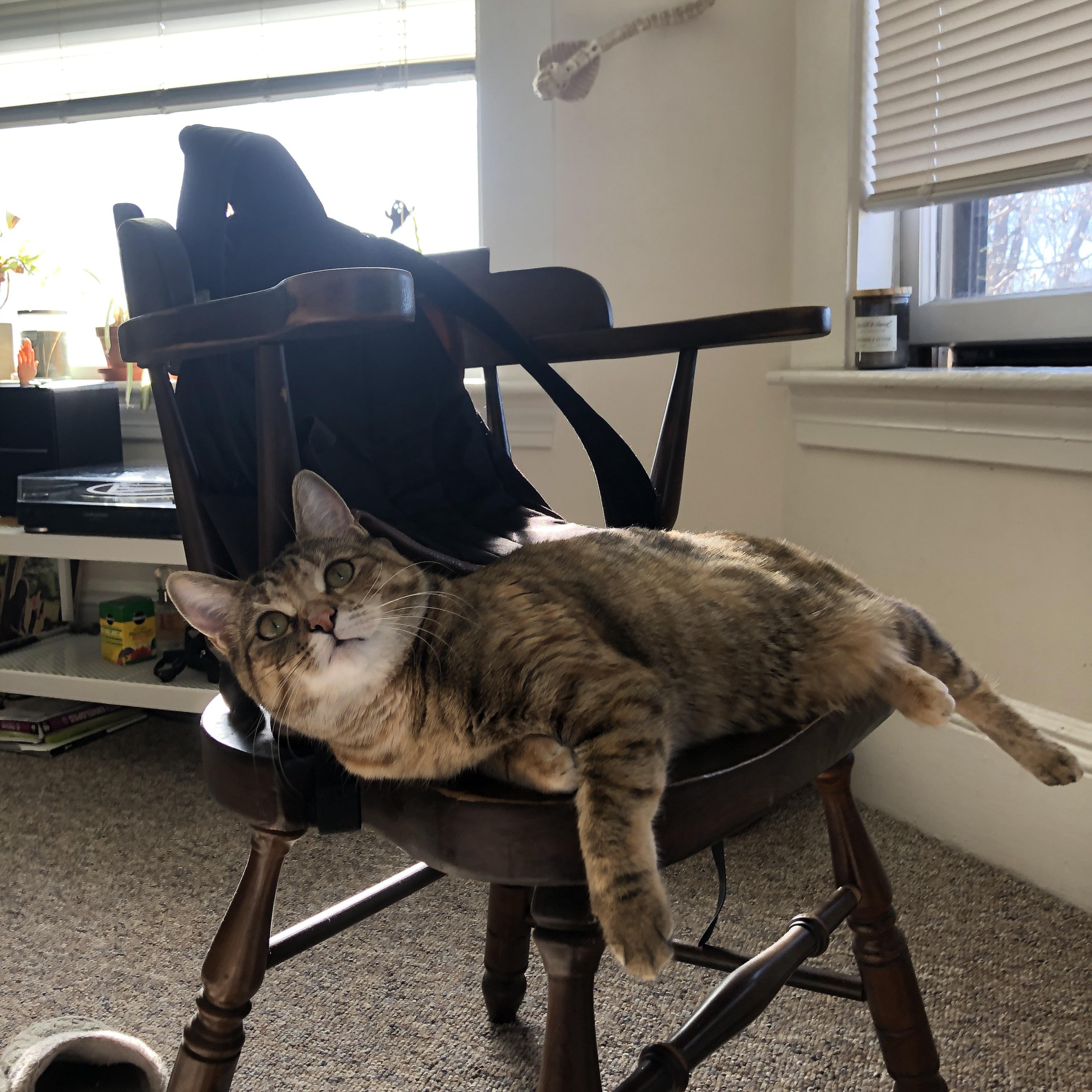 AYX官网-《CS_GO》教练离职：战术风格变化与团队影响，csgo教练是干什么的