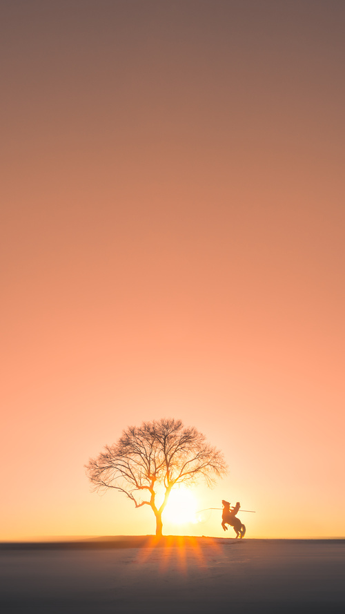 【战术分析】奥沙利文：利用变化战术在比赛中取胜，奥沙利文 发力