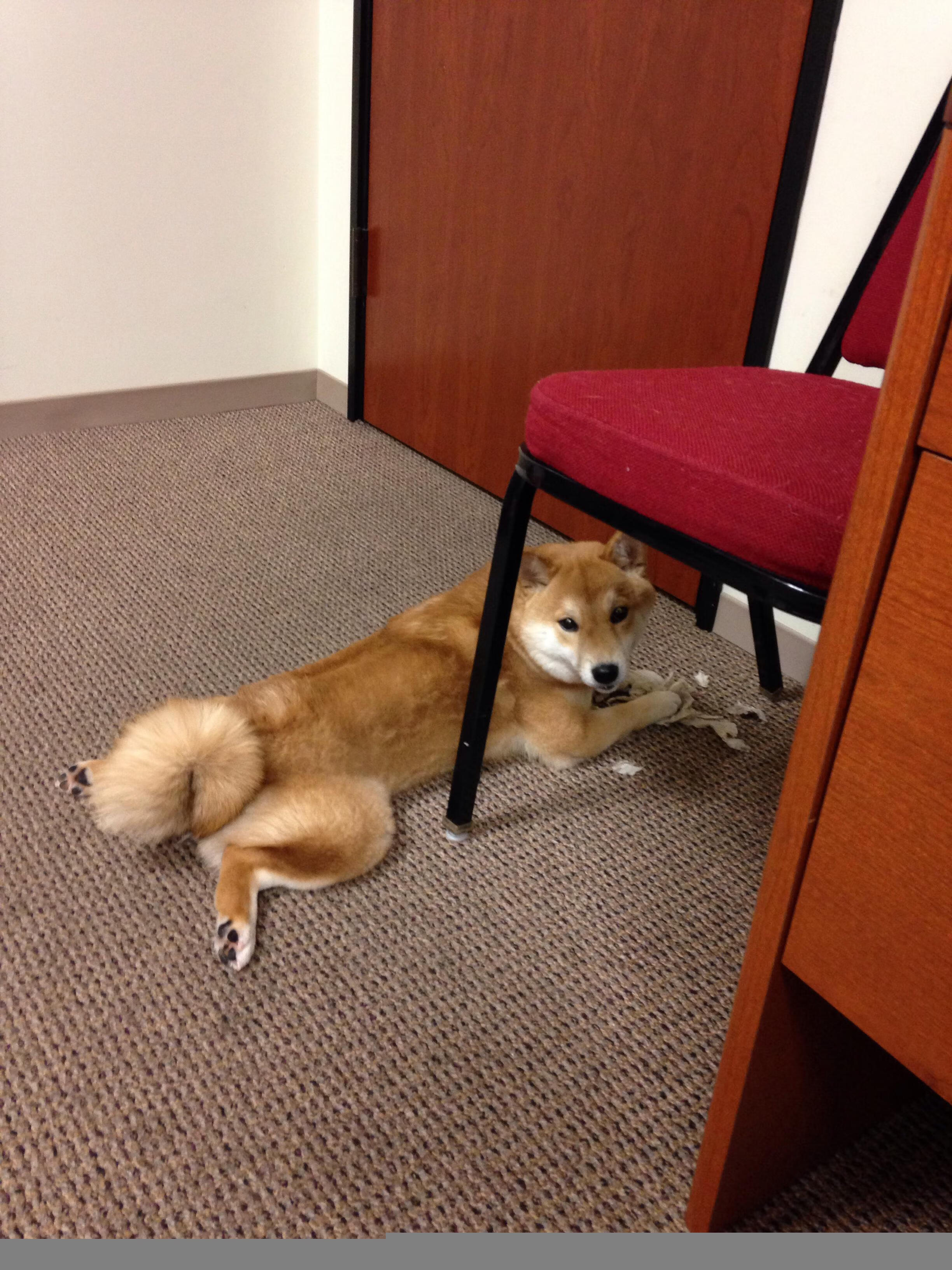 爱游戏体育-中国足球明星代言品牌合作不断扩展，国足代言的品牌