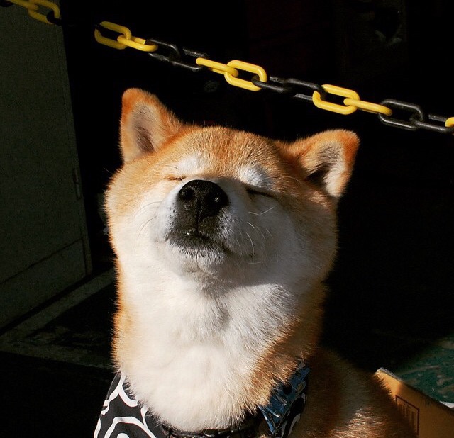 史上最“炸裂”长距离投篮!库里在对阵魔术中投出距离超过70英尺的三分球!