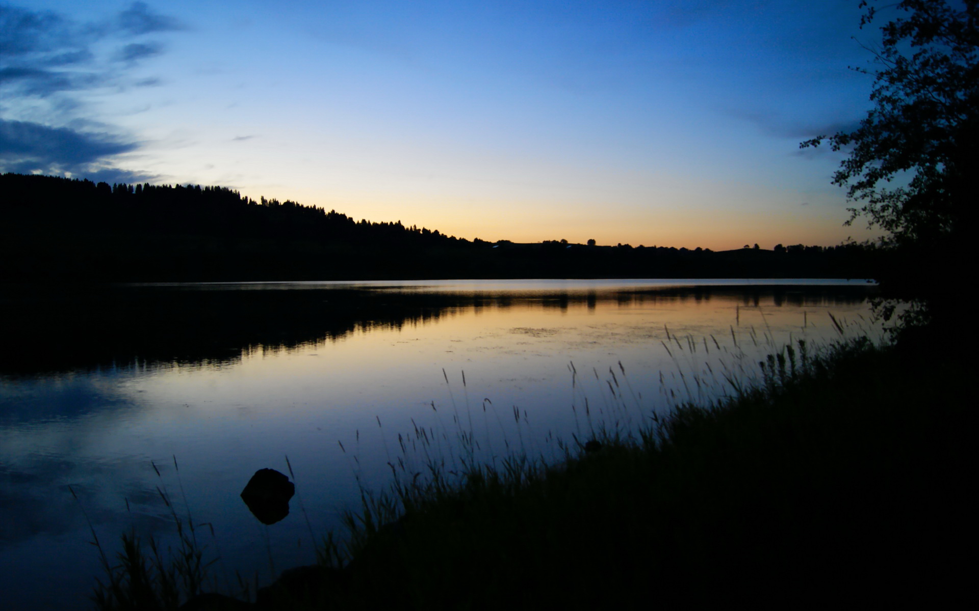 德甲加大青训投入，未来天才不断涌现，德甲青训体系