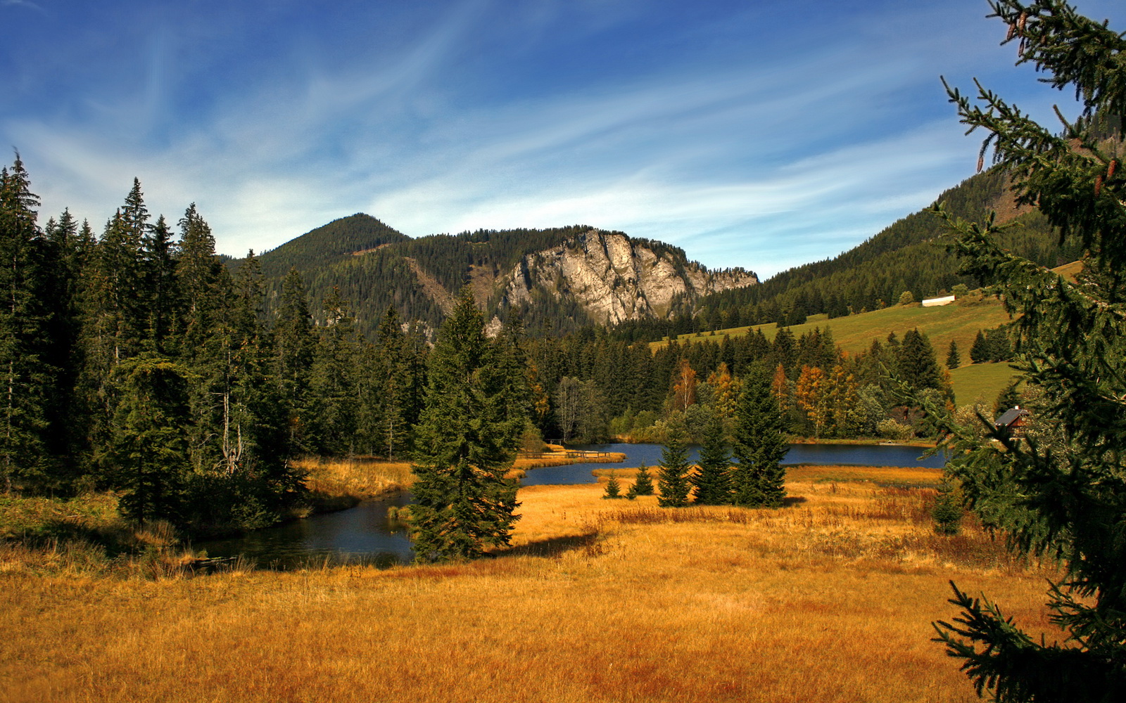 男子篮球联赛收官,冠军队伍创历史最佳战绩,男篮 冠军