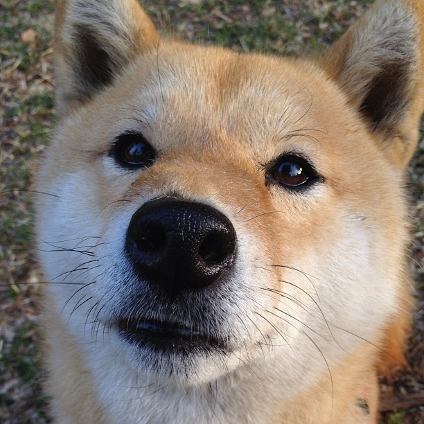 男子网球天王纳达尔将办退役告别巡回赛，网球男单纳达尔