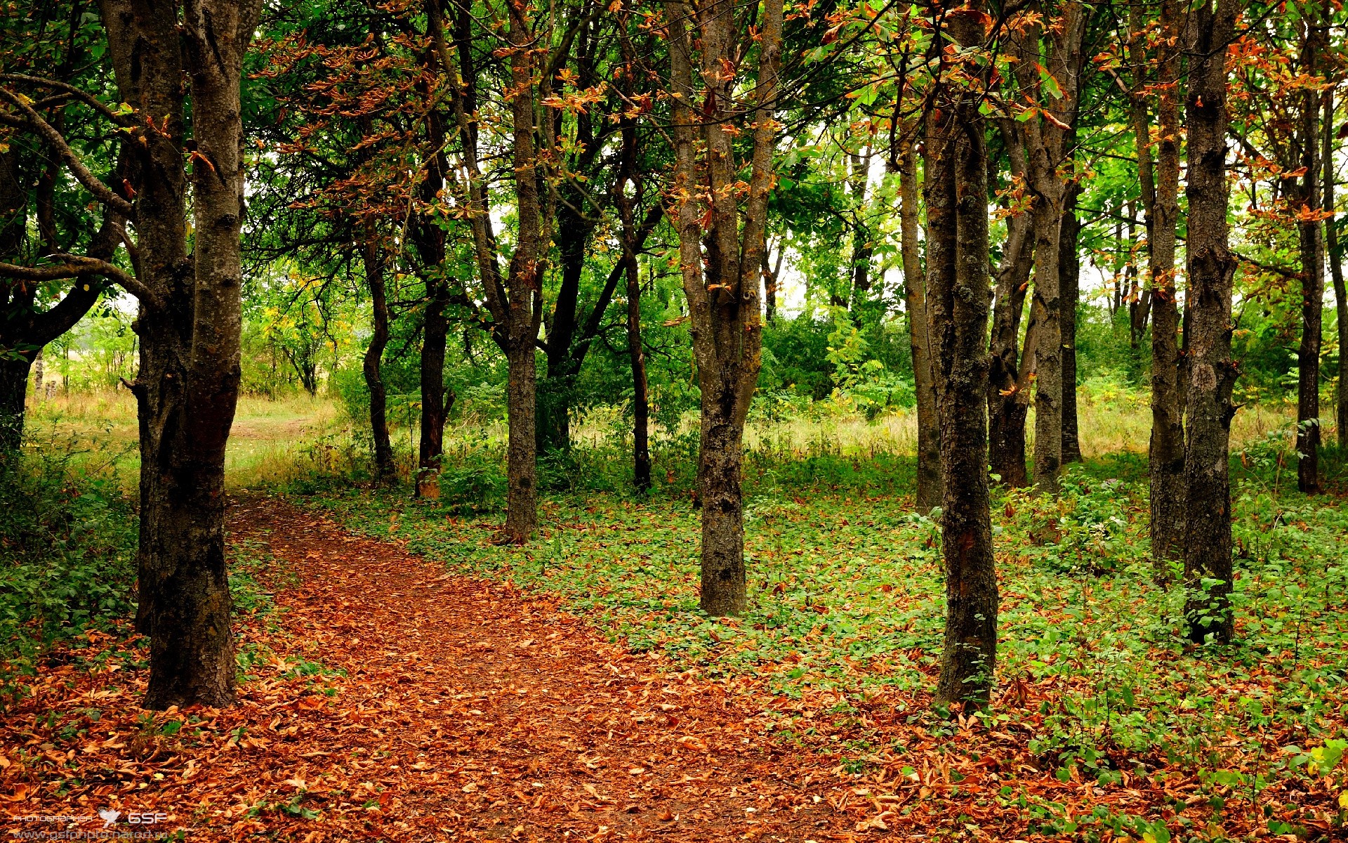 阿根廷马术代表队在亚洲马术锦标赛中获得团体金牌,展现国际竞争力。