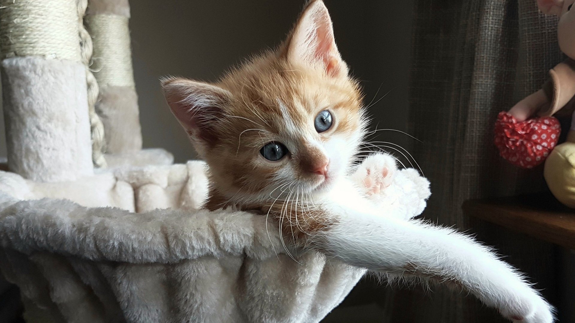 爱游戏体育-“青少年足球训练营开营，引领青少年足球新风潮”，青少年足球训练营文化节手抄报