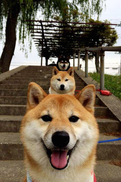 “足球场馆智能安检系统正式启用，提升赛事安全”，足球场检测机构