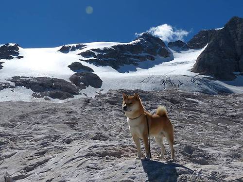 【经典对决】丁俊晖VS奥沙利文,谁是真正的“台球王者”?,丁俊晖和奥沙利文的决赛视频