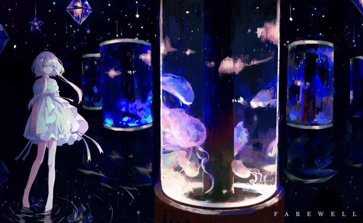 哥伦比亚青少年马术选手在2024年全国青少年马术锦标赛中表现出色,获得多项荣誉。