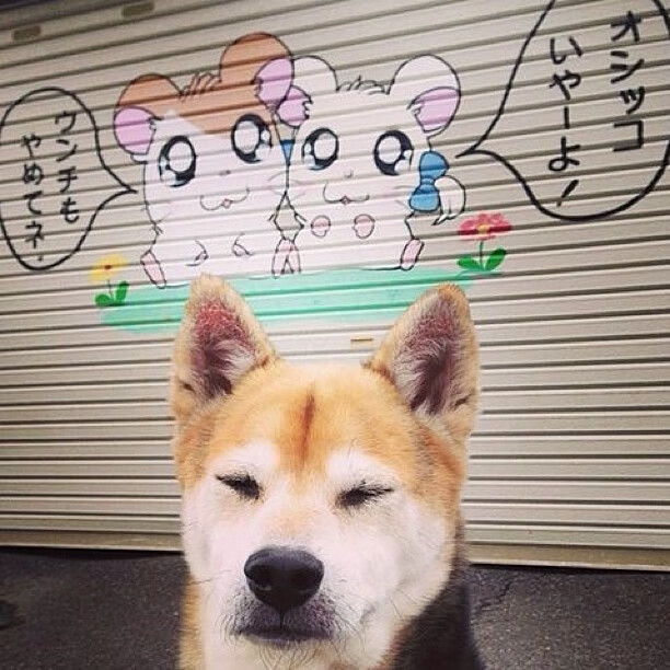 中国足球青训基地引入国际先进教练，培养精英人才，中国足协43个青训中心