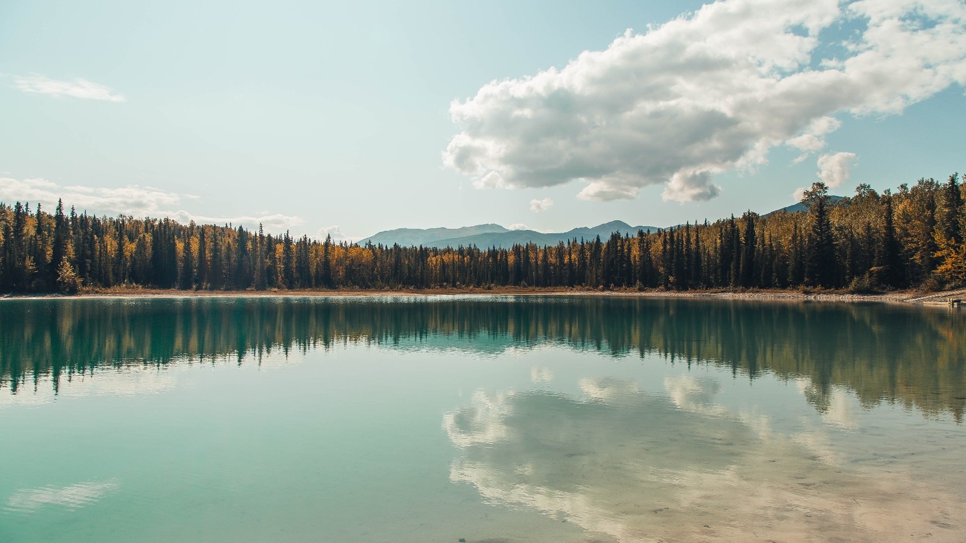 希洪新军失守,主场一败,实力暴露,希洪竞技对西班牙人直播