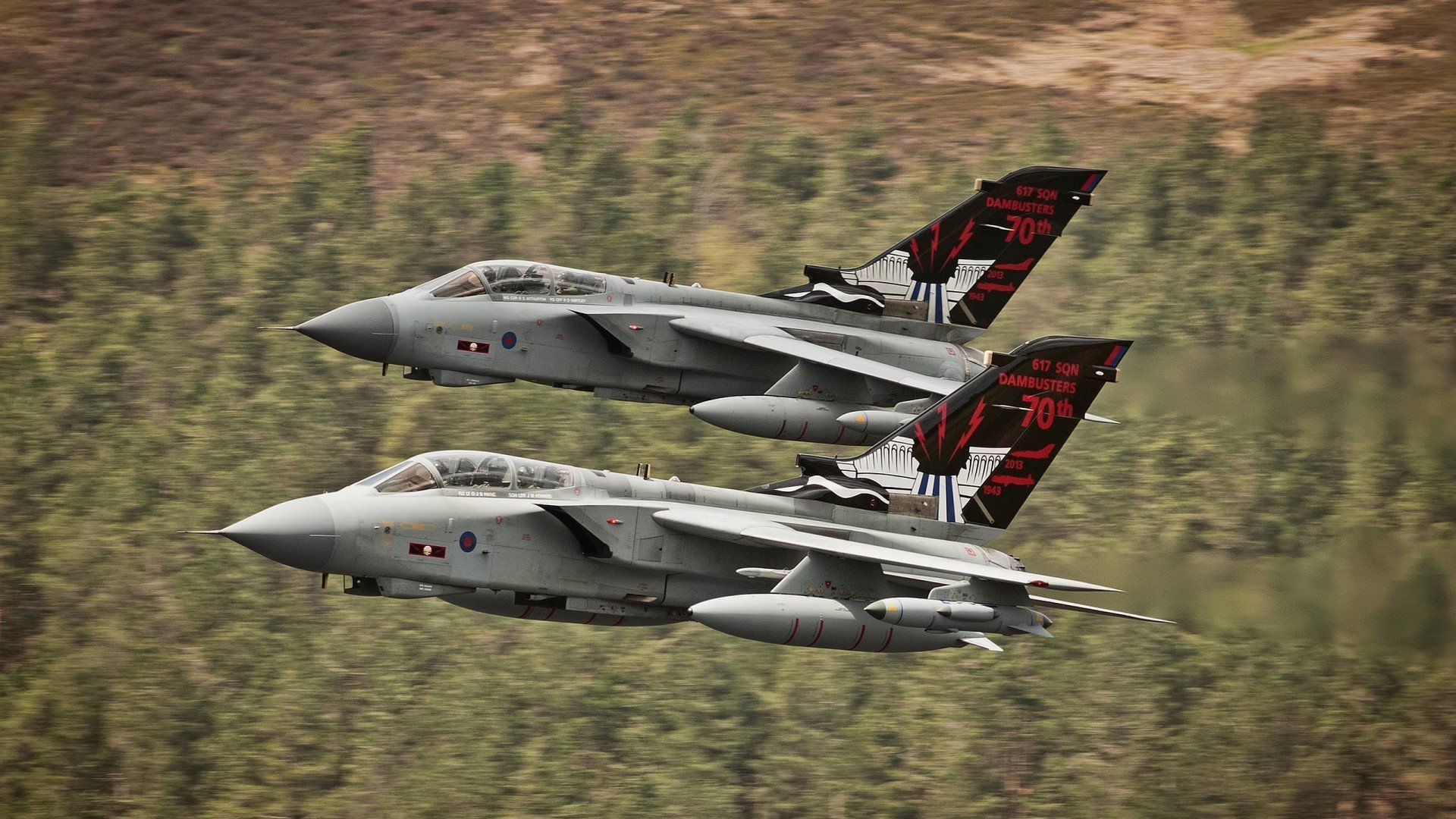 塞内加尔马术协会建立马匹基因数据库,促进马匹选育与训练。,马塞尔·里塞