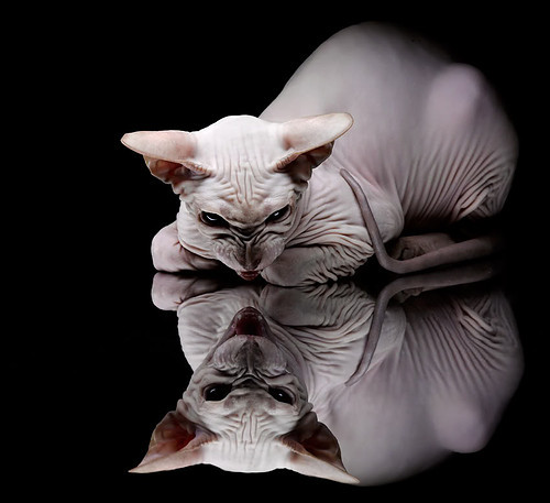 场上花絮:比赛中那些搞笑与感动的瞬间,比赛花絮什么意思