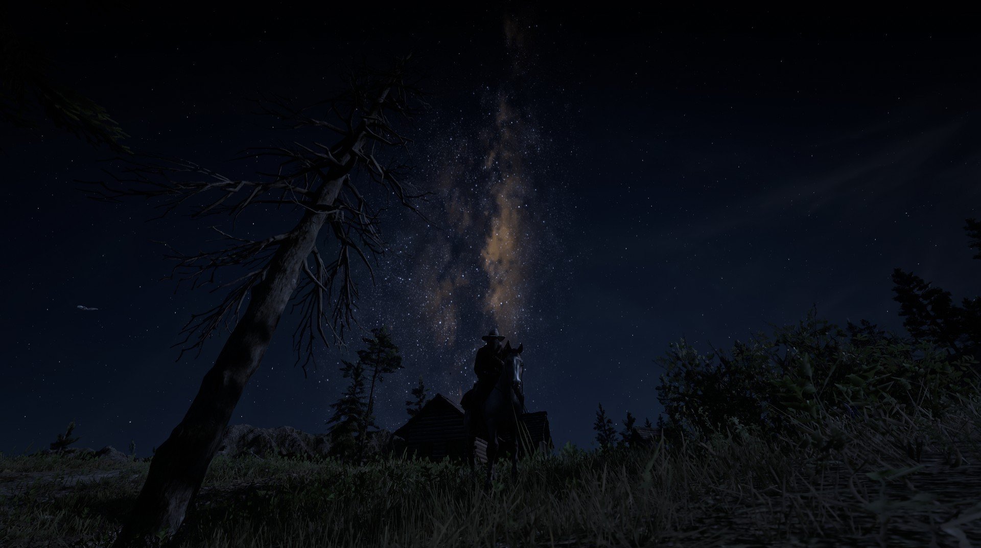 阿尔阿赫利球迷支持力度加大，主场气氛火爆，阿尔阿赫利什么意思