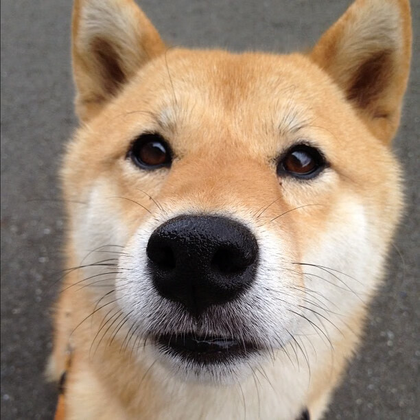 马利克·蒂尔曼在PSV表现出色,赛季结束后引发多家欧洲俱乐部关注。