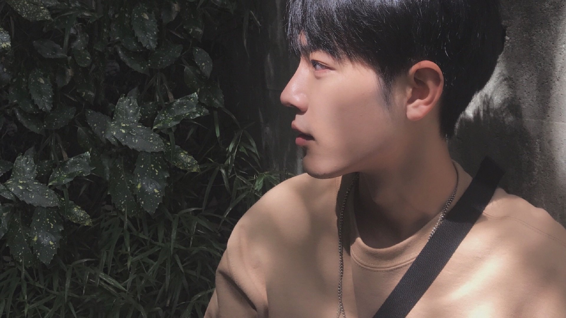 中国篮球教练团队沟通机制优化研究,篮球教练团队组成