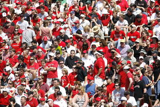 爱游戏娱乐网址-体育赛事观众行为特征与管理对策，观众对体育赛事的意义