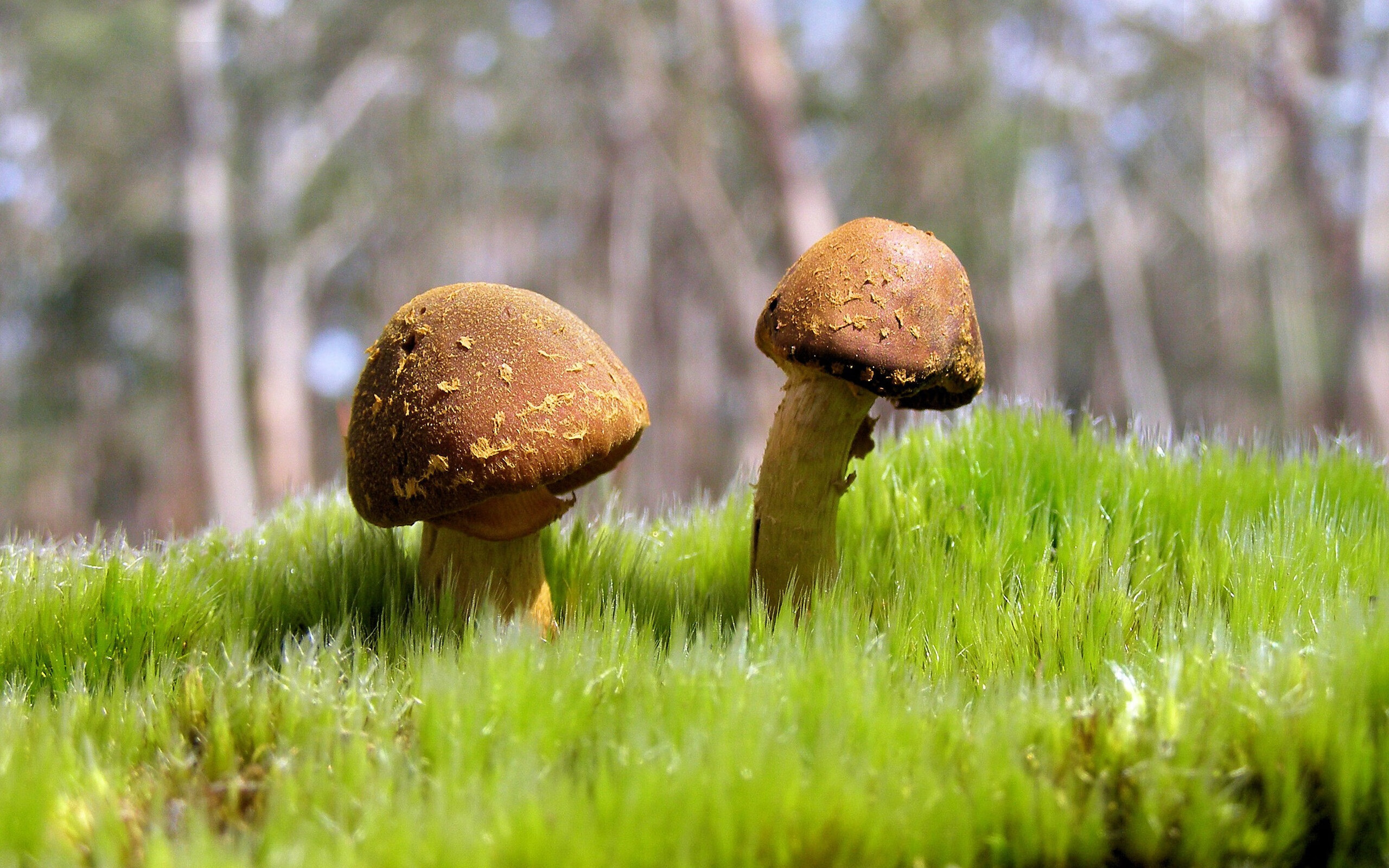 篮球运动员比赛中身体素质的提升方法,篮球运动员锻炼体能的方法