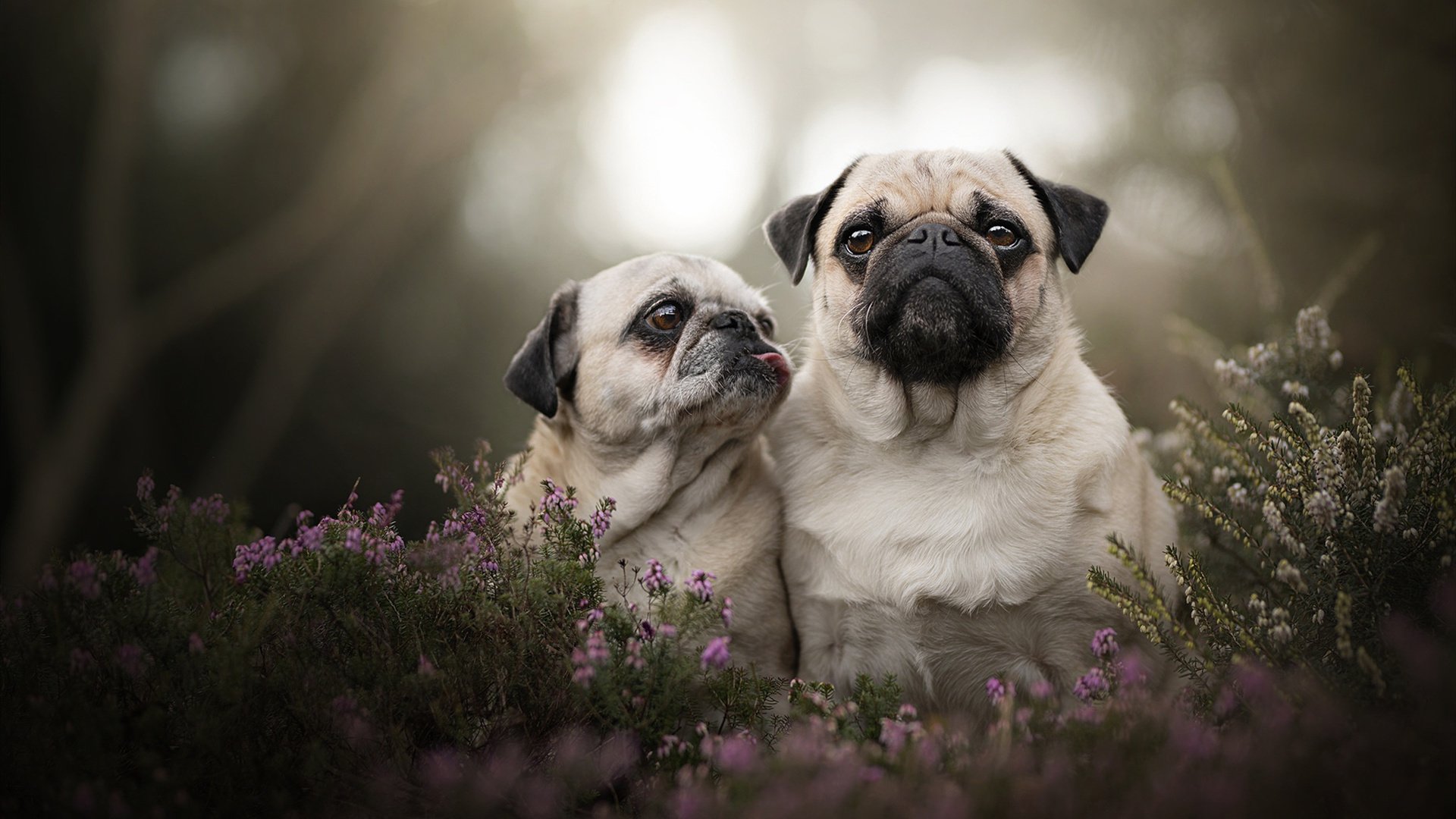 爱游戏登录入口-青训“超级工厂”产业园正式运营，行业创新步伐加快