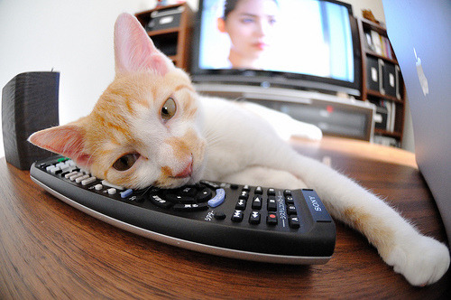 爱游戏电竞官网-FaZe探索与LCS队伍共建内容品牌