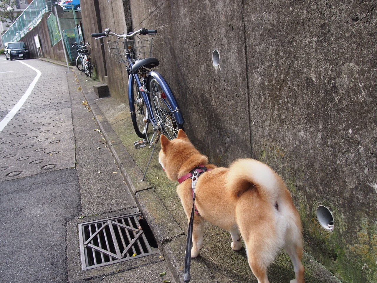 AYX SPORTS-KPL赛场精彩瞬间集锦发布，kpl2020精彩集锦