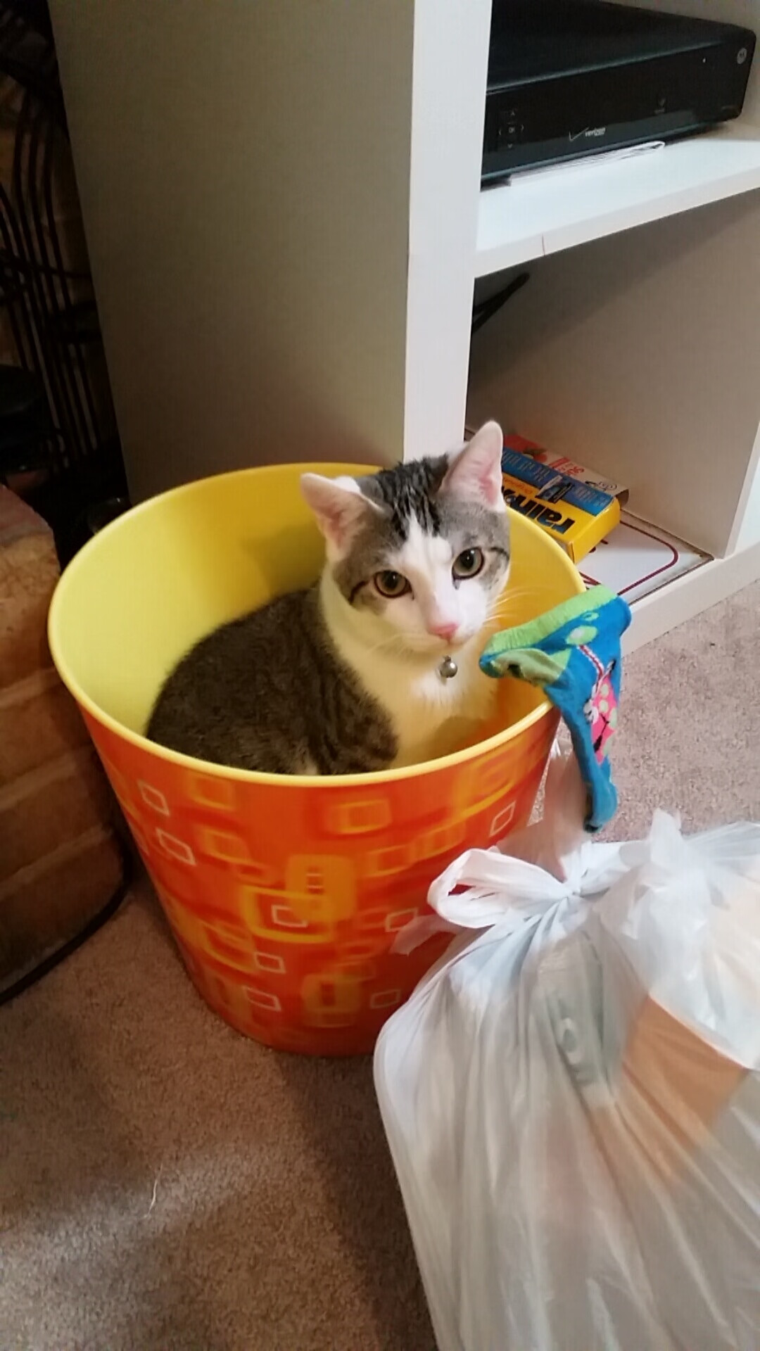 AIYOUXI.COM-中国象棋协会发布象棋教练员培训计划，中国象棋协会发布象棋教练员培训计划是真的吗