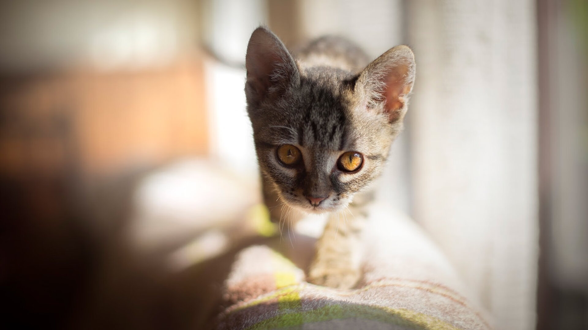 中超联赛商业开发是否可持续发展，中超联赛的运营成本