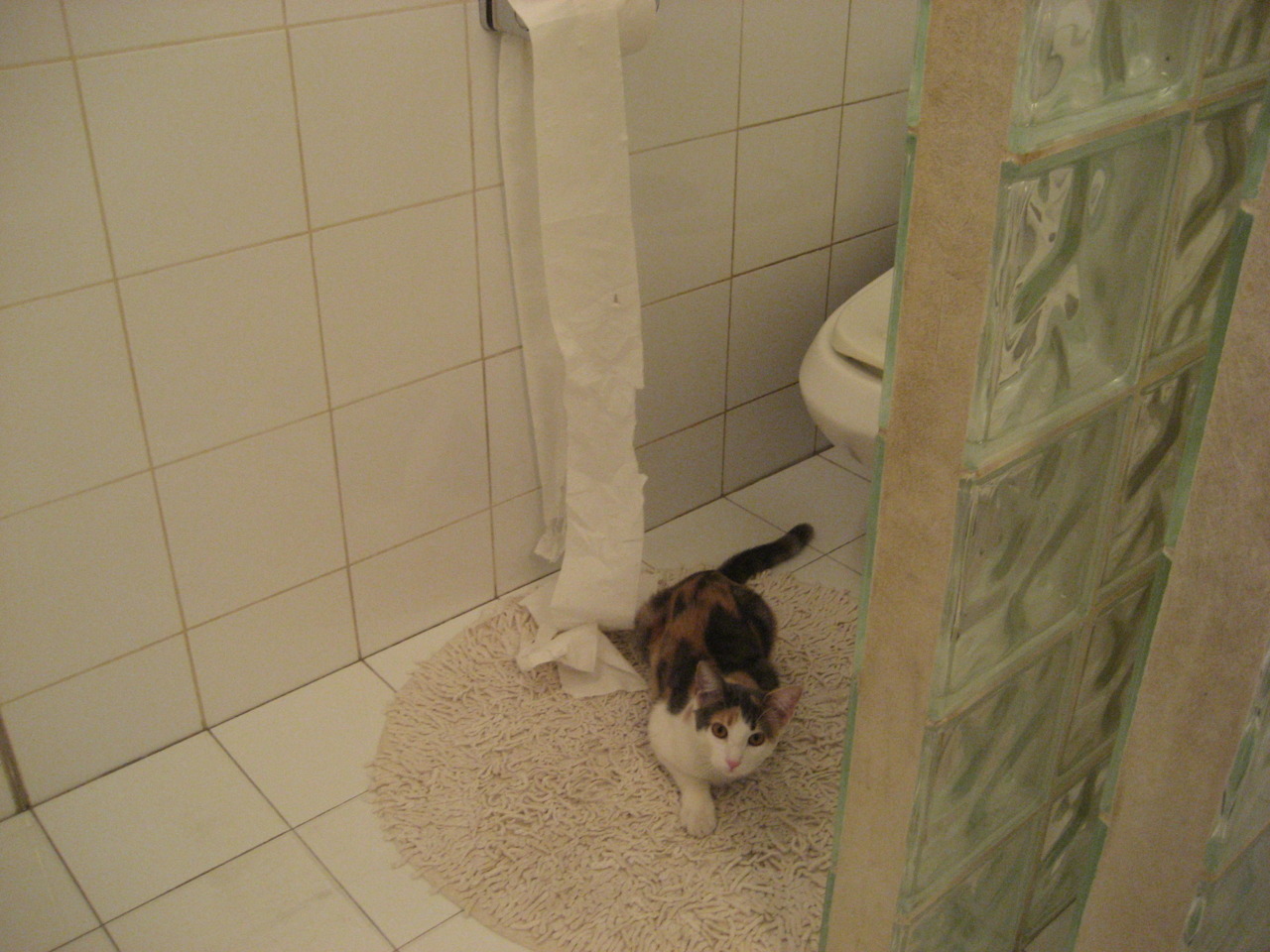 乌迪内斯大败佛罗伦萨,势如破竹,乌迪内斯对佛罗伦萨历史战绩