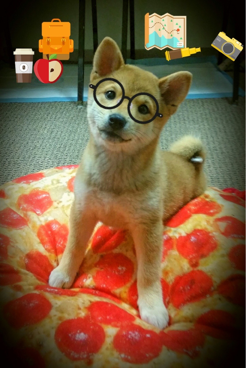 爱游戏娱乐平台-体测系统全国联网数据实现统一监管，体测网站查询系统