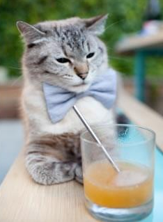 AYX体育-切尔西在英超联赛中排名第六，英超切尔西足球俱乐部