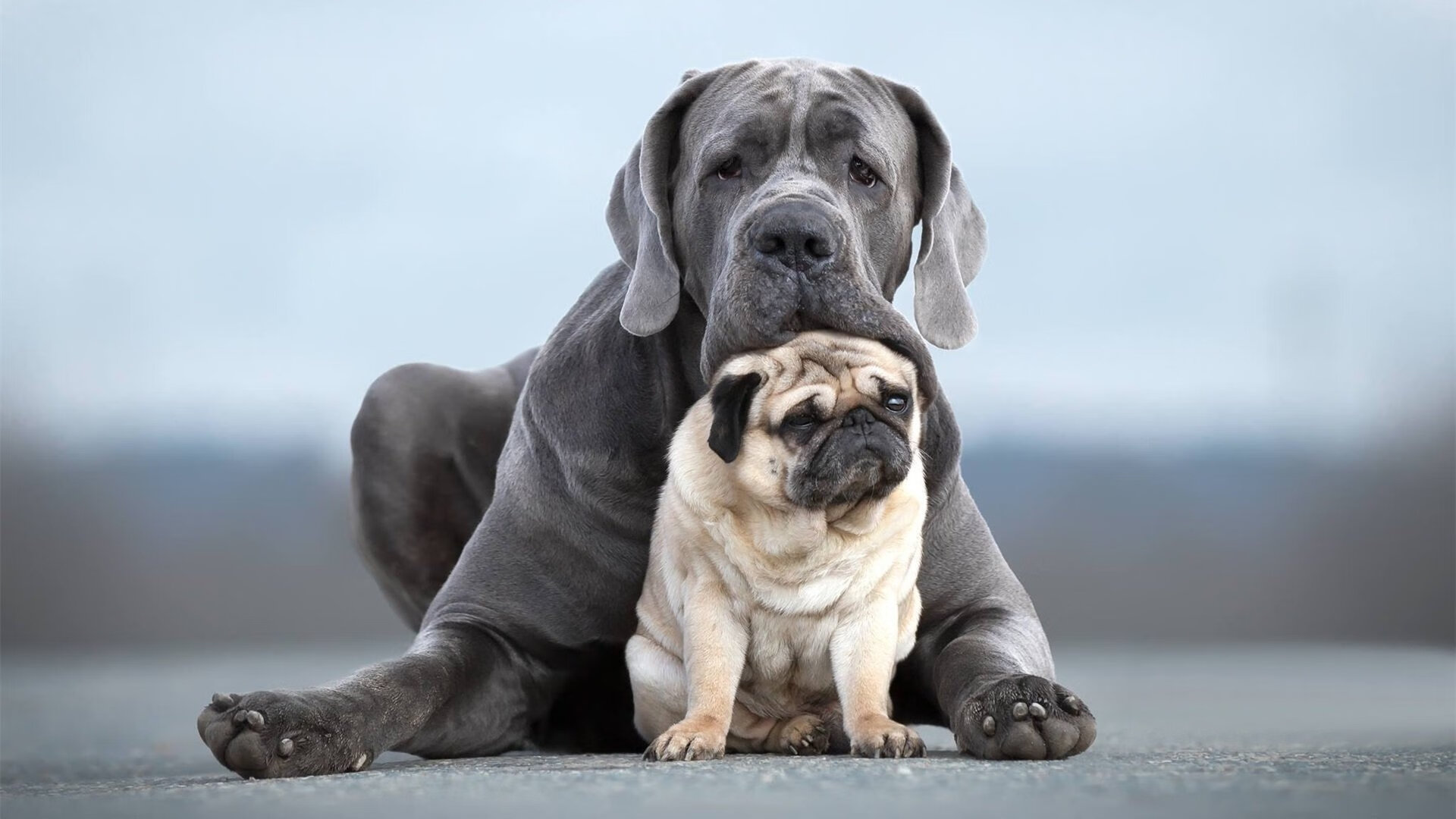 切尔西在英超联赛中排名第六，英超切尔西足球俱乐部
