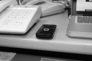 爱游戏体育app-技术数据揭示冠军转身平均仅0.65秒，冠军转盘