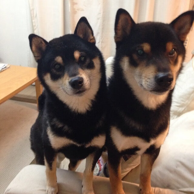 球队是否通过边路连续推进撕裂密集防守线路