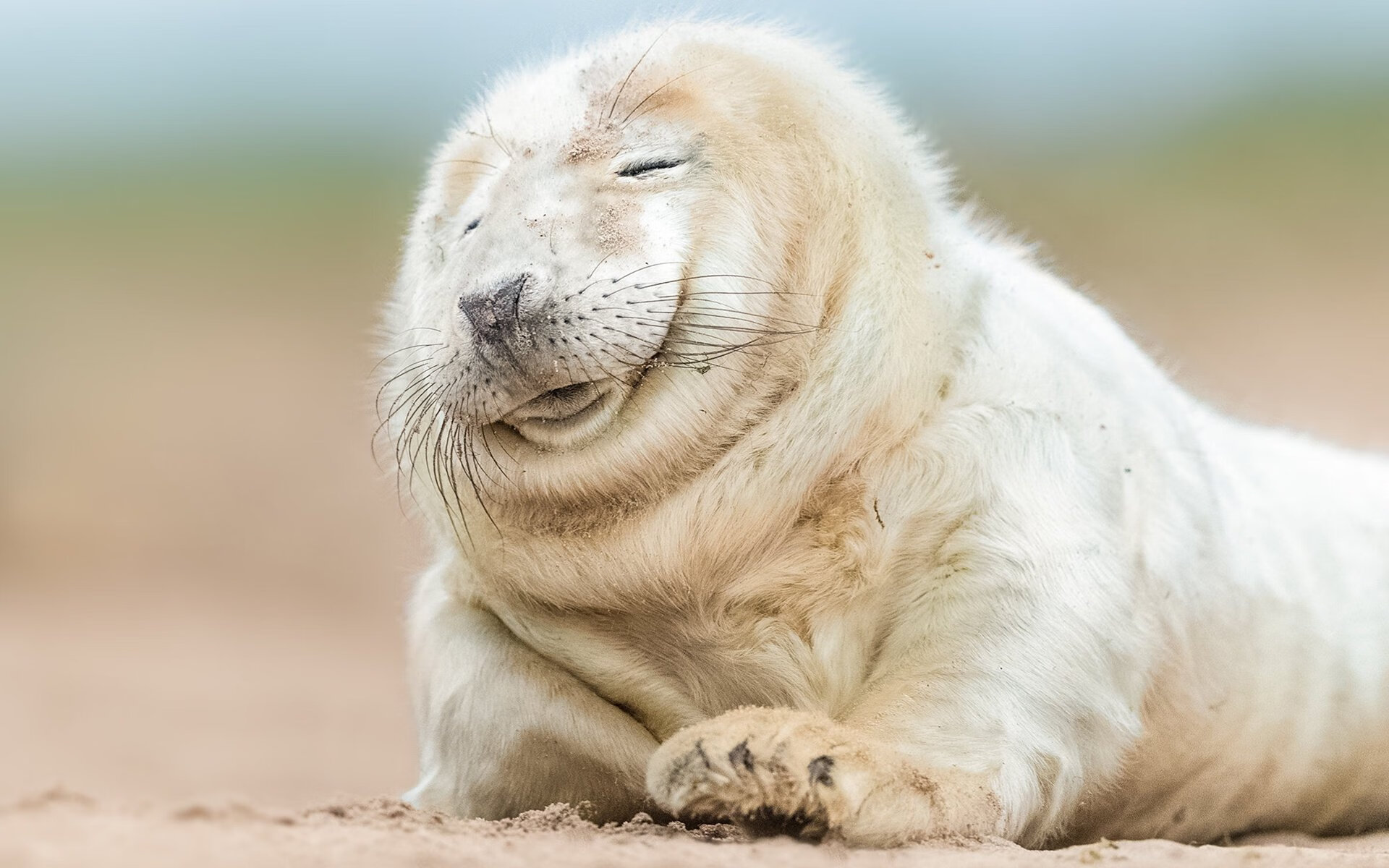 爱游戏娱乐网址-女足世界杯赛程紧凑挑战大，女足世界杯官网