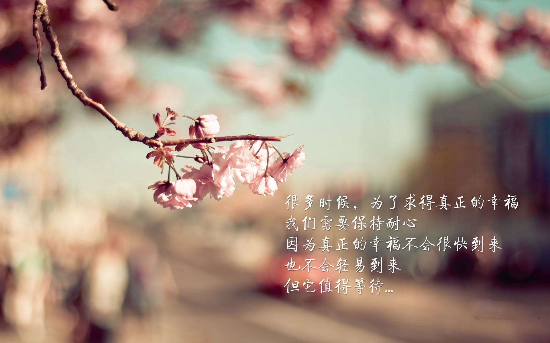 爱游戏app-弗拉门戈核心球员表现出色，弗拉门戈视频