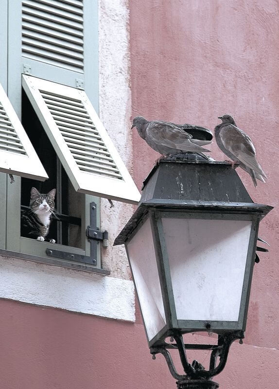 AYX SPORTS-广州恒大昔日王朝回归，重塑中超霸主，广州恒大改为广州队