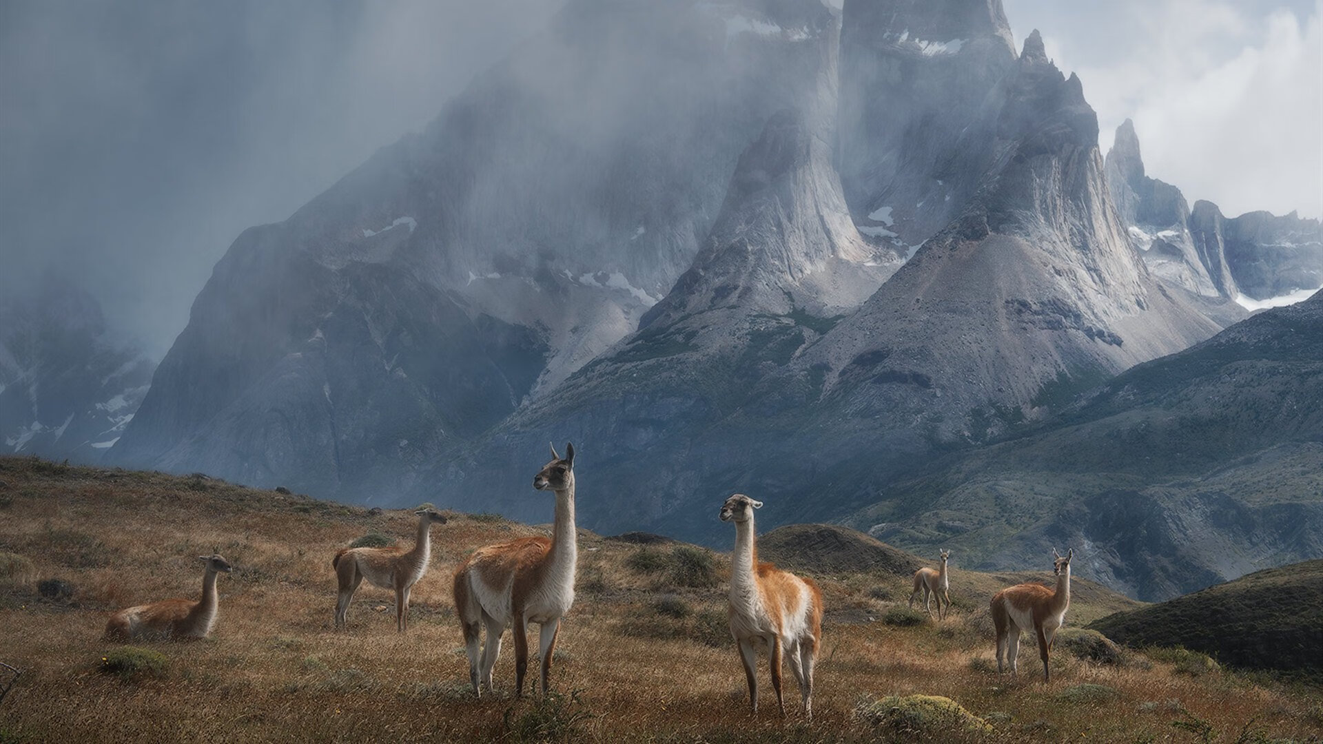 爱游戏 电竞-全球篮球联赛市场扩展迅速，全球职业篮球联赛有多少