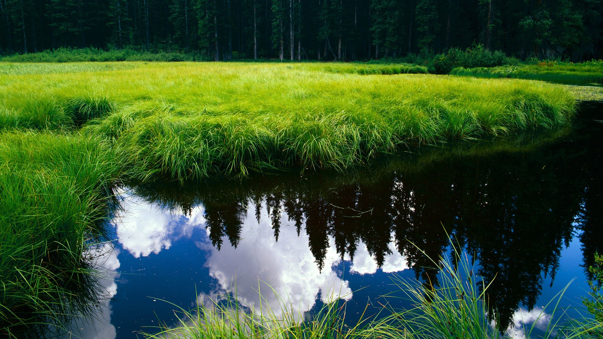 新闻中心启动新产品试点，新产品的新闻发布会