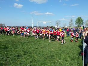 AYXSPORTSAPP-青少年体育活动参与动力分析，青少年的体育活动