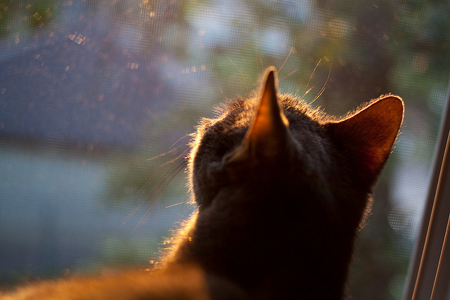 爱游戏体育app-西甲瓦解对手防线：一脚精彩绝杀，西甲局势分析