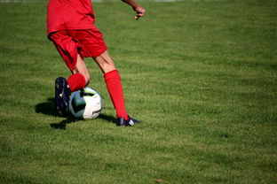 爱游戏中国官方网站平台-足球场馆数字化管理平台正式上线，提升运营效率，足球场管理系统app