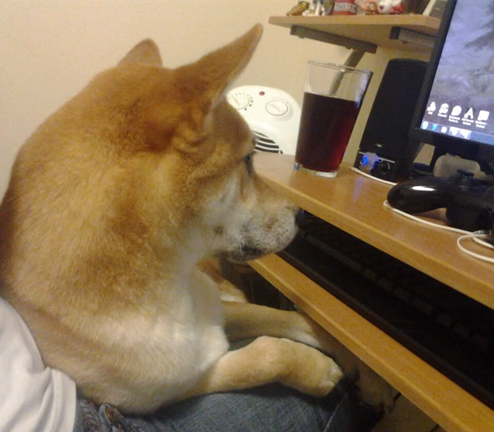 加拿大队赛制解读:如何在团体赛事中利用赛制加强团队协作,加拿大赛程500