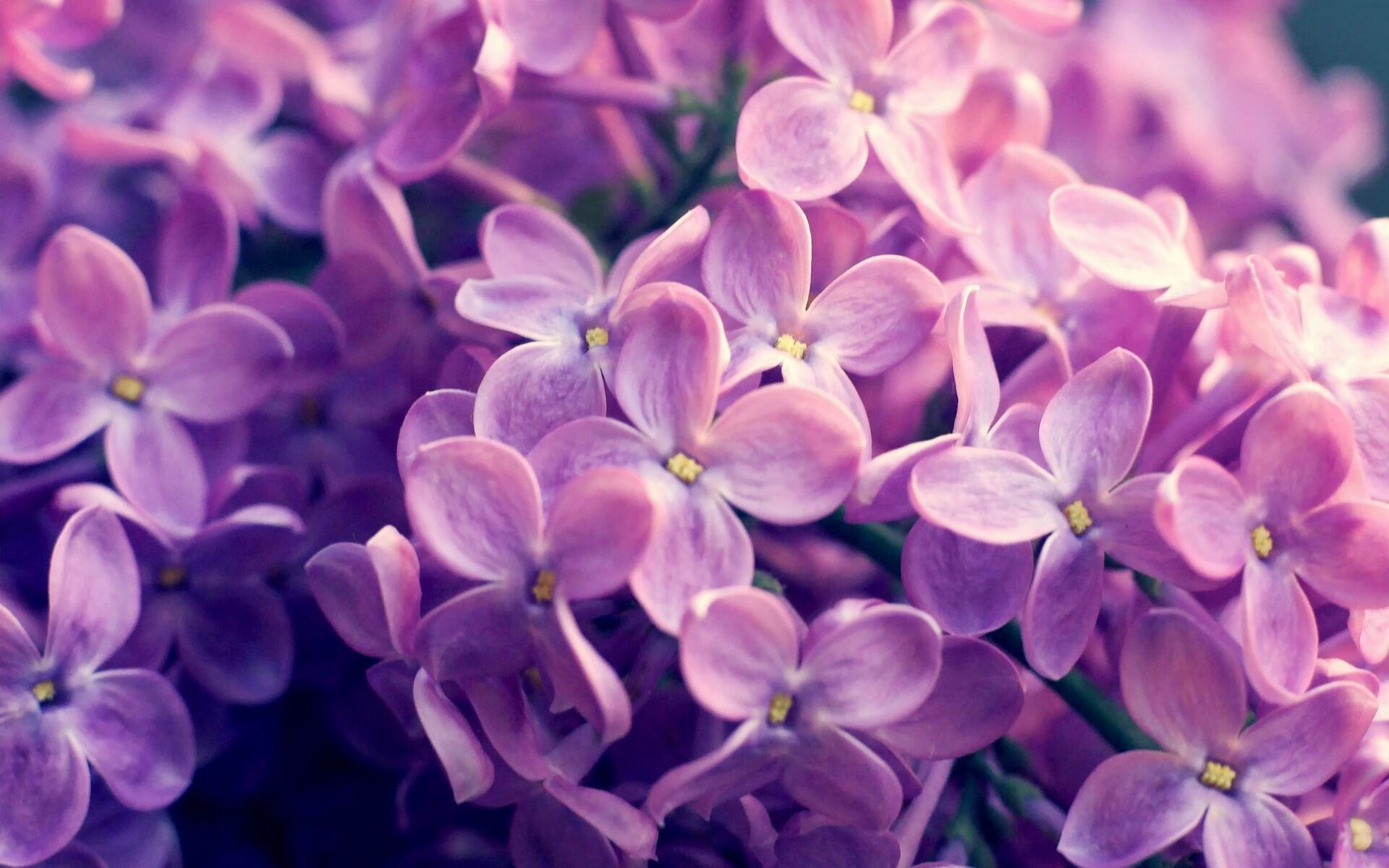 国际热身赛中国足球爆冷 球迷呼吁提升战术，中国足球热身赛结果