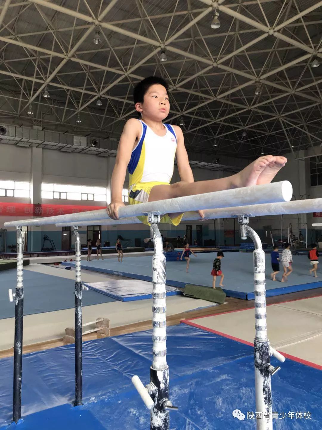 包含爱游戏体育：年轻才俊：未来五年的体育明星预测的词条