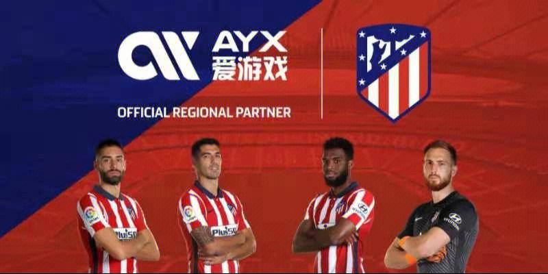 包含爱游戏体育:中国足球俱乐部财务可持续性评估：基于数据包络分析（DEA）模型的词条